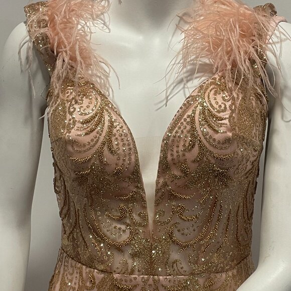 Glamorous Blush Maxi Dress with Feather Accents - Picture 3 of 10
